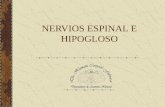 NERVIOS ESPINAL E HIPOGLOSO