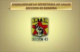 SINDICATO DE LA SECRETARIA DE SALUD SECCION 43 SONORA