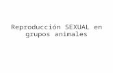 Reproducción SEXUAL en grupos animales