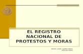 EL REGISTRO NACIONAL DE PROTESTOS Y MORAS