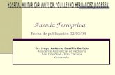 Anemia Ferropriva Fecha de publicación 02/03/08