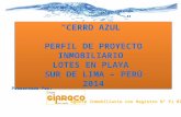 “CERRO AZUL”   PERFIL DE PROYECTO   INMOBILIARIO  LOTES EN PLAYA  SUR DE LIMA – PERÚ 2014