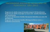 PROGRAMAS SOCIALES MUNICIPIO DE TUNUNGUA  AÑO  2012