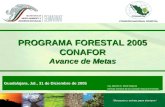 PROGRAMA FORESTAL 2005 CONAFOR Avance de Metas