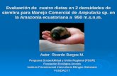 Autor: Ricardo Burgos M. Programa Sostenibilidad y Unión Regional (PSUR)