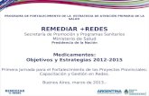 PROGRAMA DE FORTALECIMIENTO DE LA  ESTRATEGIA DE ATENCIÓN PRIMARIA DE LA SALUD  REMEDIAR +REDES