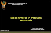 Instituto de Investigaciones de la Amazonía Peruana