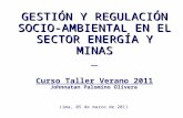 GESTIÓN Y REGULACIÓN SOCIO-AMBIENTAL EN EL SECTOR ENERGÍA Y MINAS Curso Taller Verano 2011