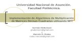Implementación de Algoritmos de Multiplicación  de Matrices Densas Cuadradas utilizando MPI