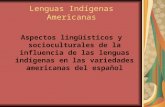 Lenguas Indígenas Americanas