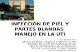 INFECCIÓN DE PIEL Y PARTES BLANDAS  MANEJO EN LA UTI