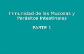 Inmunidad de las Mucosas y Parásitos Intestinales PARTE 1