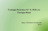 Trabajo Práctico Nº 4: PCR en Tiempo Real