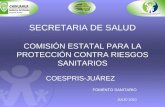 SECRETARIA DE SALUD COMISIÓN ESTATAL PARA LA PROTECCIÓN CONTRA RIESGOS SANITARIOS