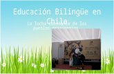 Educación Bilingüe en Chile