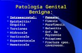 Patología Genital Benigna: