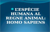 L’ESPÈCIE HUMANA AL REGNE ANIMAL: HOMO SAPIENS