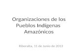 Organizaciones de los Pueblos Indígenas  Amazónicos