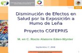 Disminución de Efectos en Salud por la Exposición a Humo de Leña Proyecto COFEPRIS