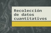 Recolección de datos cuantitativos