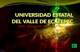 UNIVERSIDAD ESTATAL DEL VALLE DE ECATEPEC