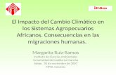 Margarita Ruiz-Ramos Instituto de Ciencias Ambientales Universidad de Castilla-La Mancha