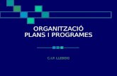 ORGANITZACIÓ PLANS I PROGRAMES
