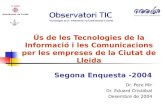 Ús de les Tecnologies de la Informació i les Comunicacions per les empreses de la Ciutat de Lleida