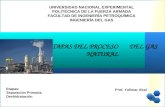 UNIVERSIDAD NACIONAL EXPERIMENTAL POLITÉCNICA DE LA FUERZA ARMADA