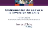 Instrumentos de apoyo a la inversión en Chile Mario Castillo Gerente de Inversión y Desarrollo