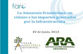 La Amazonía Ecuatoriana: un vistazo a los impactos generados por la infraestructura