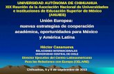 Unión Europea:  nuevas estrategias de cooperación académica, oportunidades para México