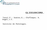 GLIOSARCOMA.   Tassi,V.; Suarez,G.; Chafloque; A. Vogel,J.C.   Servicio de Patología.