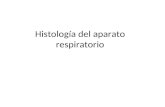 Histología del aparato respiratorio