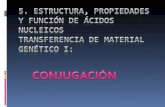 5. ESTRUCTURA, PROPIEDADES Y FUNCIÓN DE ÁCIDOS NUCLEICOS  TRANSFERENCIA DE MATERIAL GENÉTICO I: