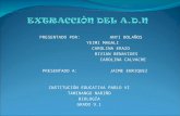 EXTRACCIÓN DEL A.D.N