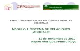 EXPERTO UNIVERSITARIO EN RELACIONES LABORALES COLECTIVAS MÓDULO 1. SISTEMA DE RELACIONES LABORALES