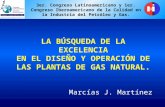 LA BÚSQUEDA DE LA EXCELENCIA EN EL DISEÑO Y OPERACIÓN DE LAS PLANTAS DE GAS NATURAL.