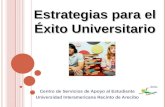Centro de Servicios de Apoyo al Estudiante Universidad Interamericana Recinto de Arecibo