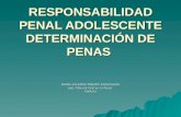 RESPONSABILIDAD PENAL ADOLESCENTE DETERMINACIÓN DE PENAS