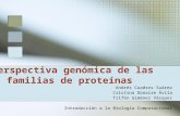 Perspectiva genómica de las familias de proteínas