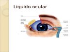 Liquido ocular