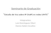 Seminario de Graduación “ Estudio de Voz sobre IP ( VoIP ) en redes UMTS ”