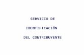 SERVICIO DE IDENTIFICACIÓN  DEL CONTRIBUYENTE