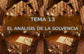 TEMA 13 EL ANÁLISIS DE LA SOLVENCIA