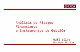 Análisis de Riesgos Financieros e Instrumentos de Gestión