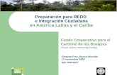 Preparaci ón  para  REDD  e Integración Ciudadana en América Latina y el Caribe
