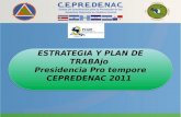 ESTRATEGIA Y PLAN DE TRABAjo  Presidencia Pro  tempore  CEPREDENAC  2011
