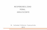 RESPONSABILIDAD  PENAL  ADOLESCENTE M. Soledad Piñeiro Fuenzalida 2012