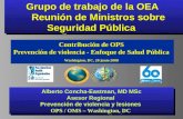 Grupo de trabajo de la OEA  Reunión de Ministros sobre Seguridad Pública